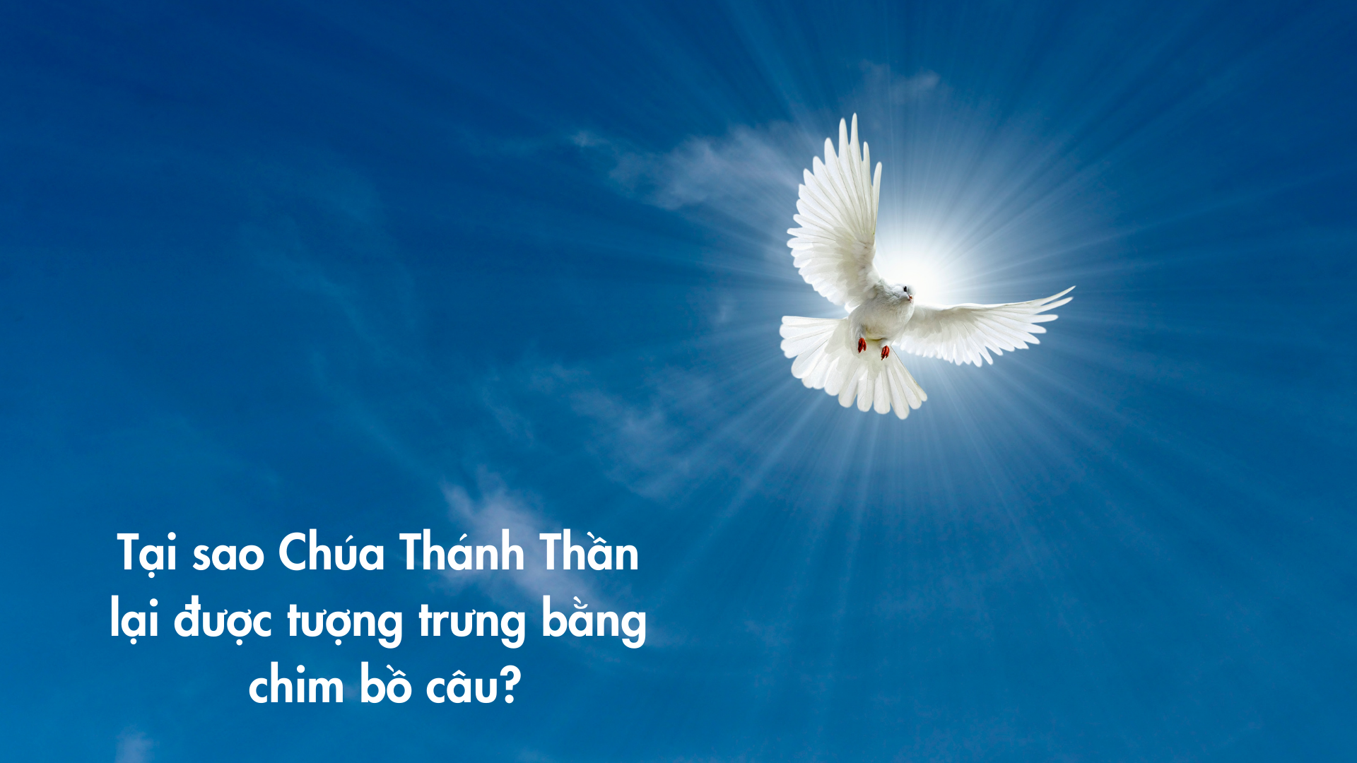 Tại sao Chúa Thánh Thần lại được tượng trưng bằng chim bồ câu?