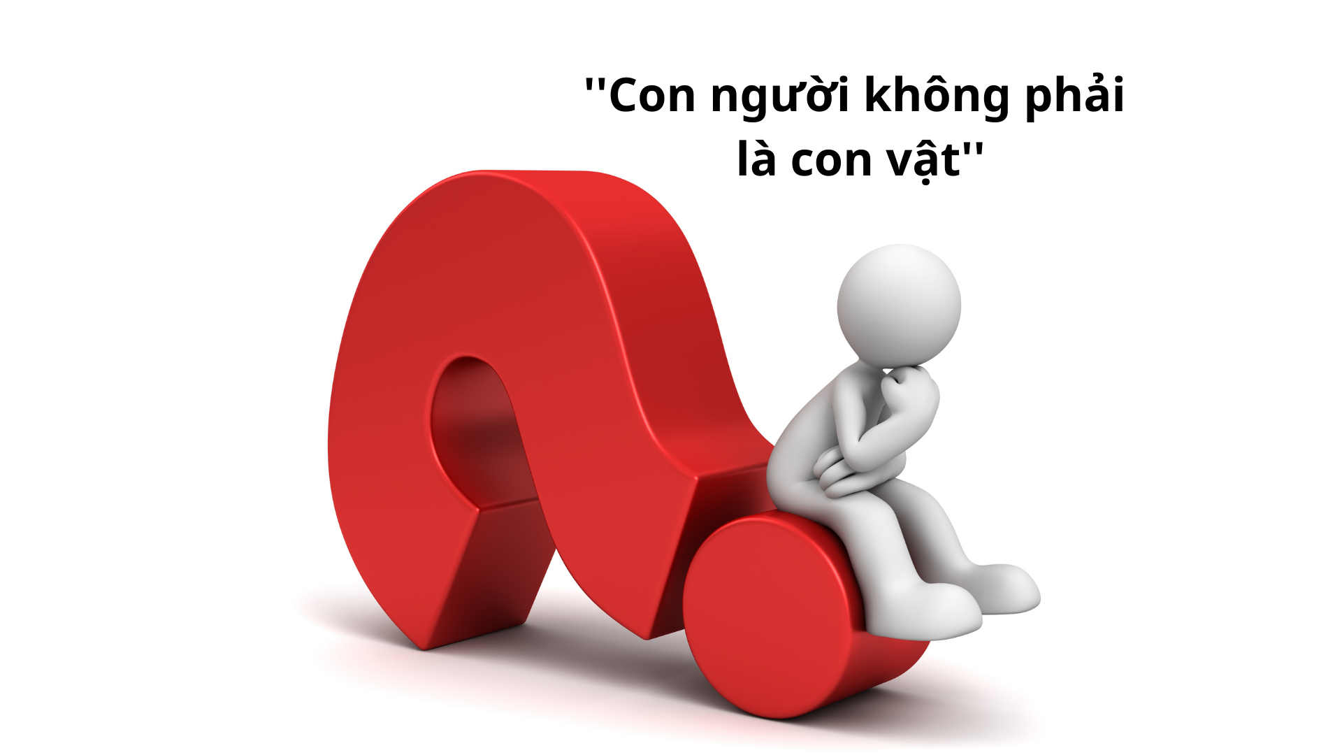 ''Con người không phải là con vật''