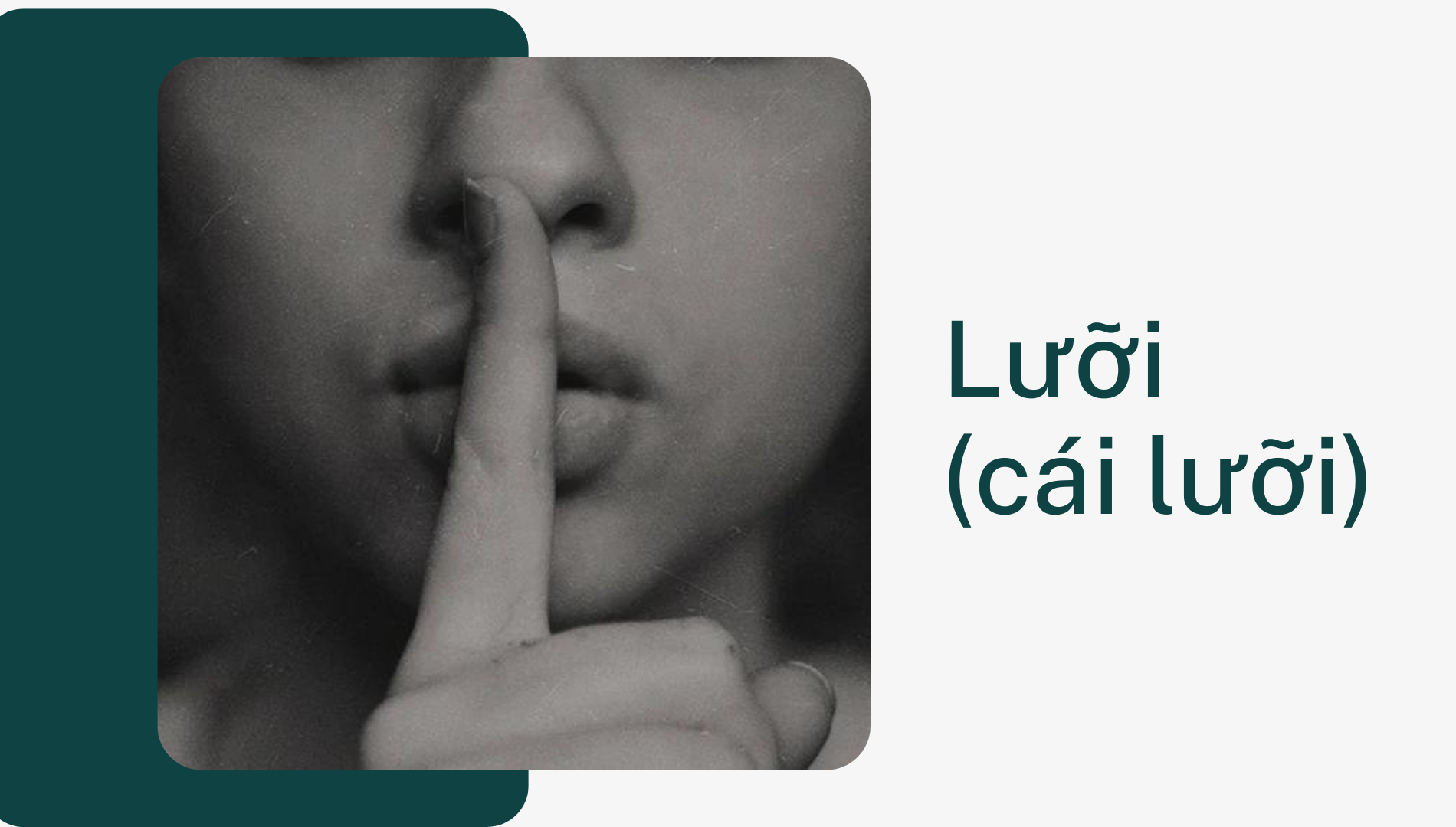 Lưỡi (cái lưỡi)