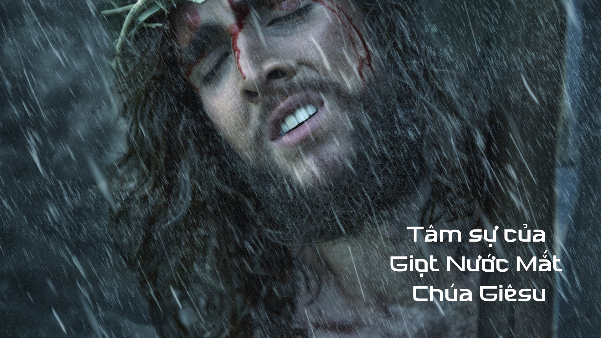 Tâm sự của giọt nước mắt Chúa Giêsu