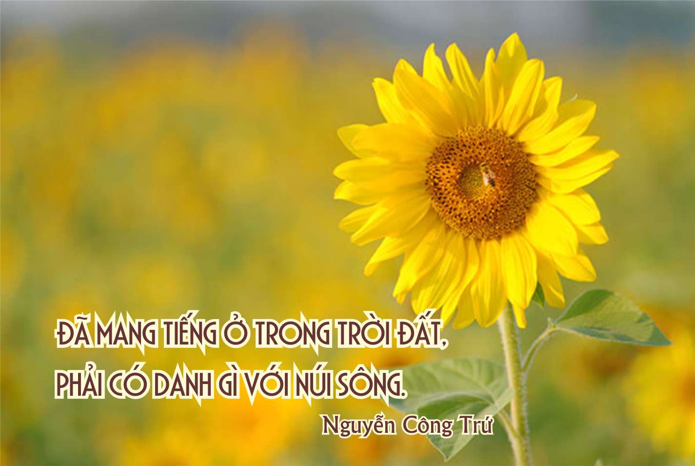 Bàn Về Chữ "Danh"