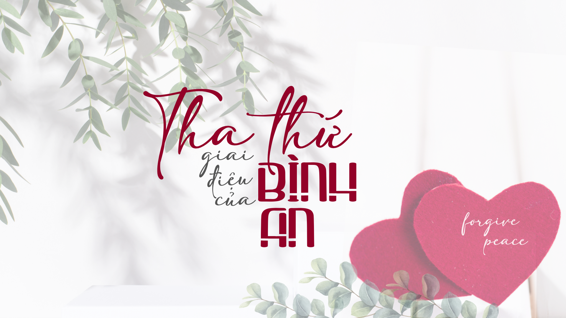THA THỨ - giai điệu của BÌNH AN