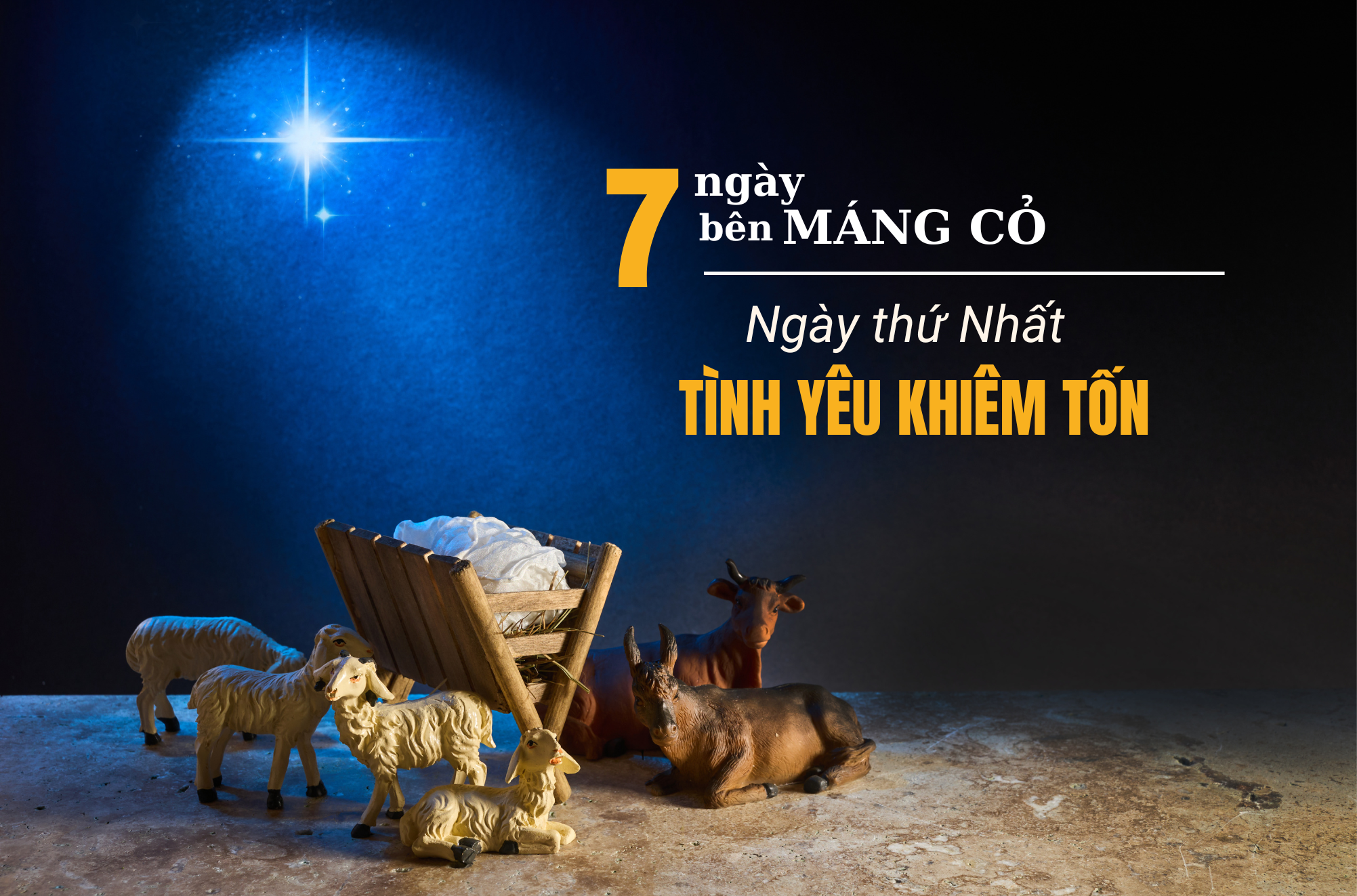 Bảy ngày bên Máng Cỏ - Ngày thứ Nhất: TÌNH YÊU KHIÊM TỐN