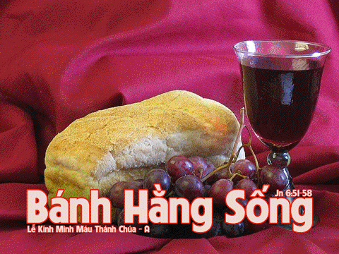 Tìm Bánh hằng sống