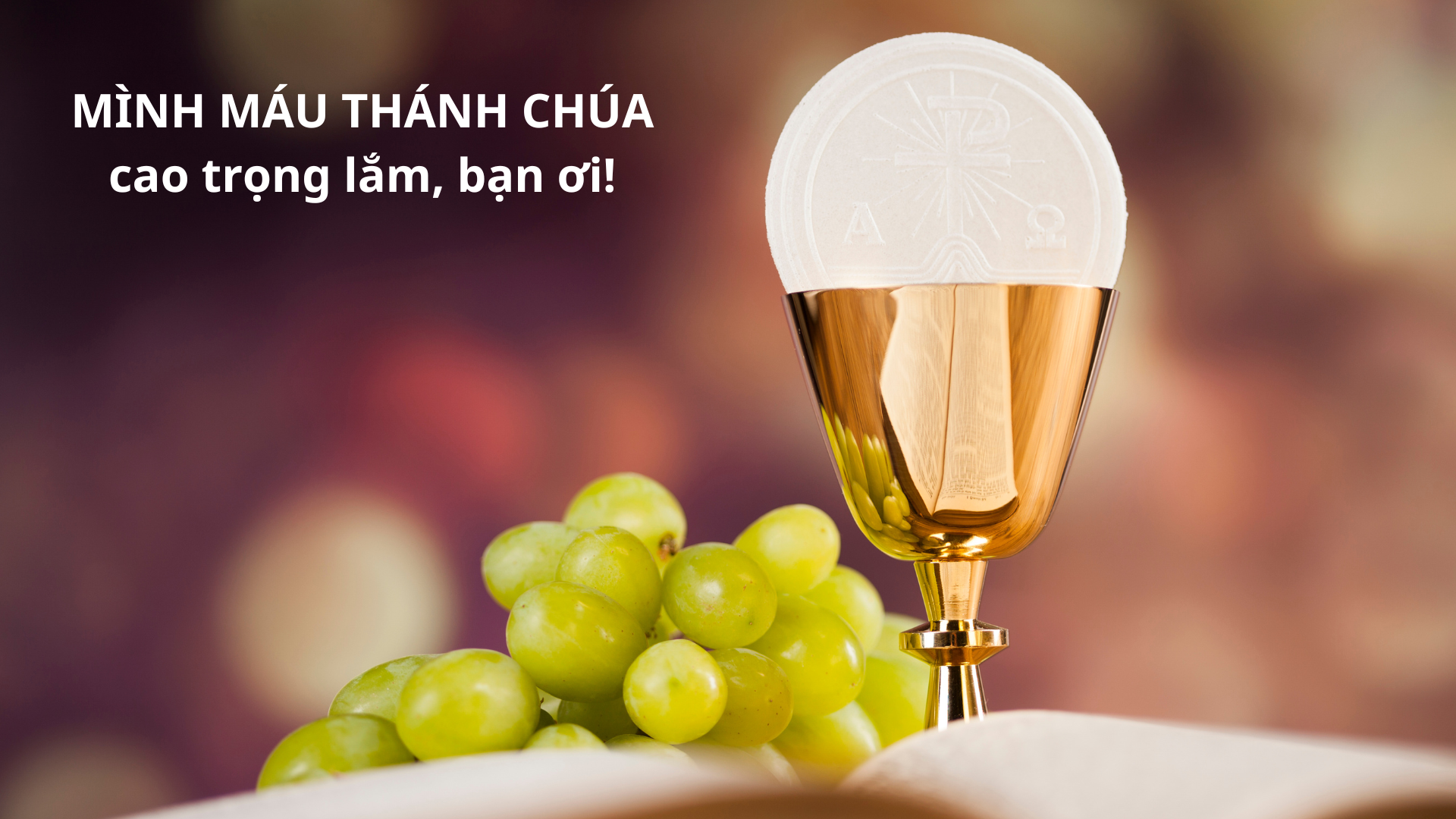 MÌNH MÁU THÁNH CHÚA cao trọng lắm, bạn ơi!