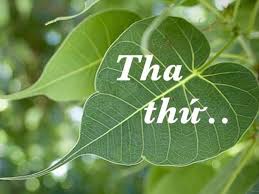 Tha thứ