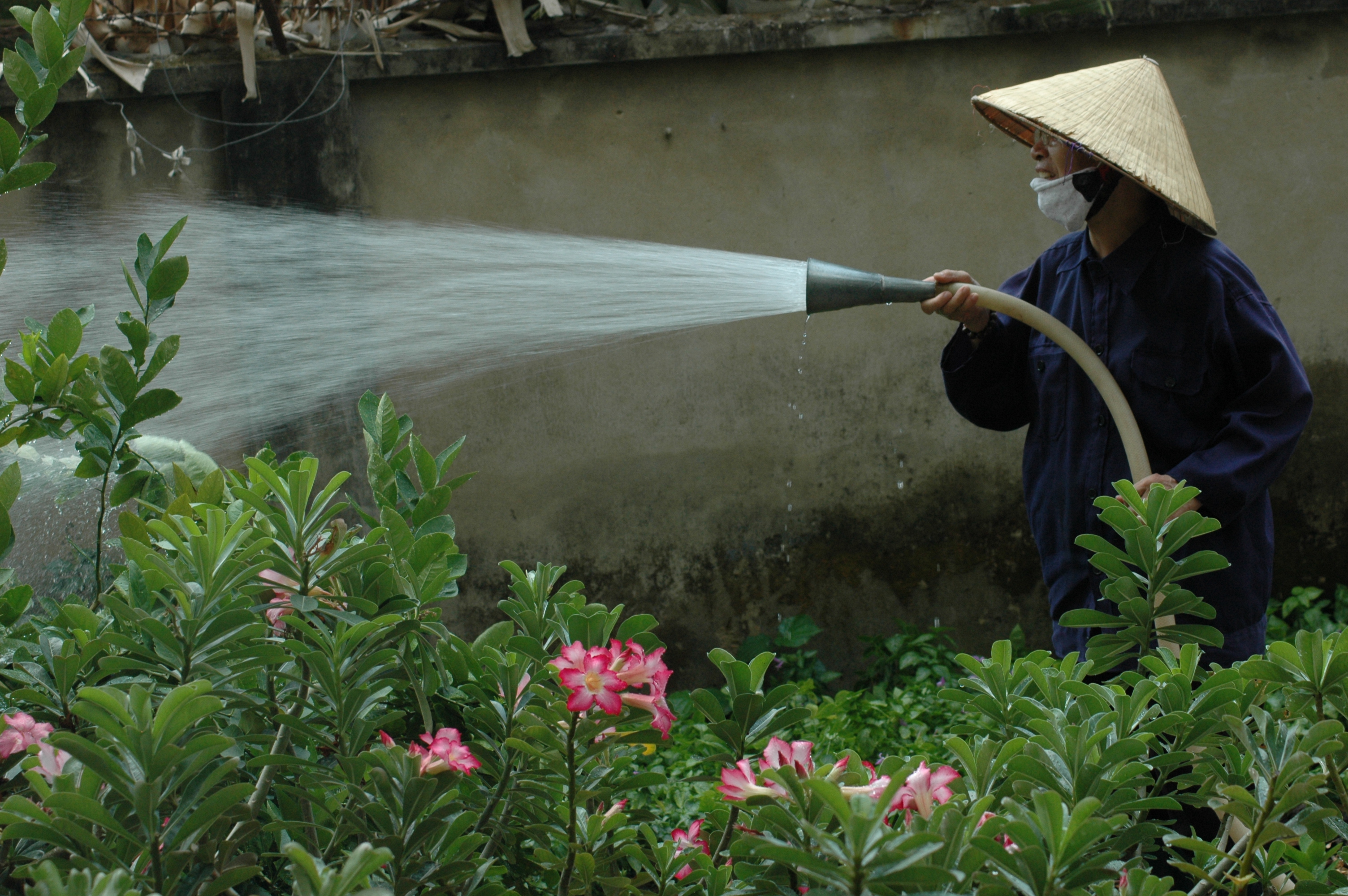 Thiên thần không có cánh