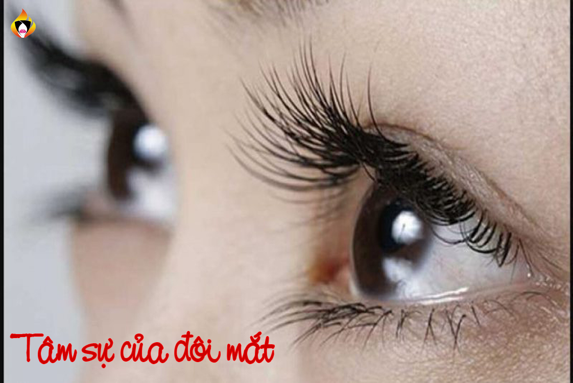 Tâm sự của đôi mắt