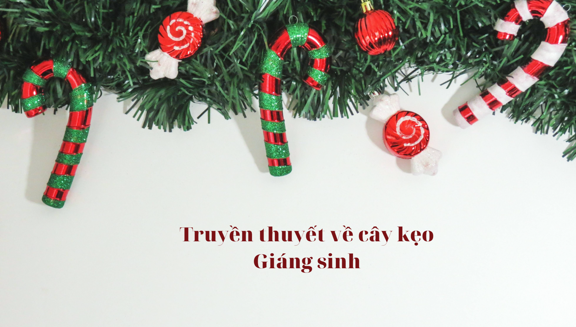 Truyền thuyết về cây kẹo Giáng sinh