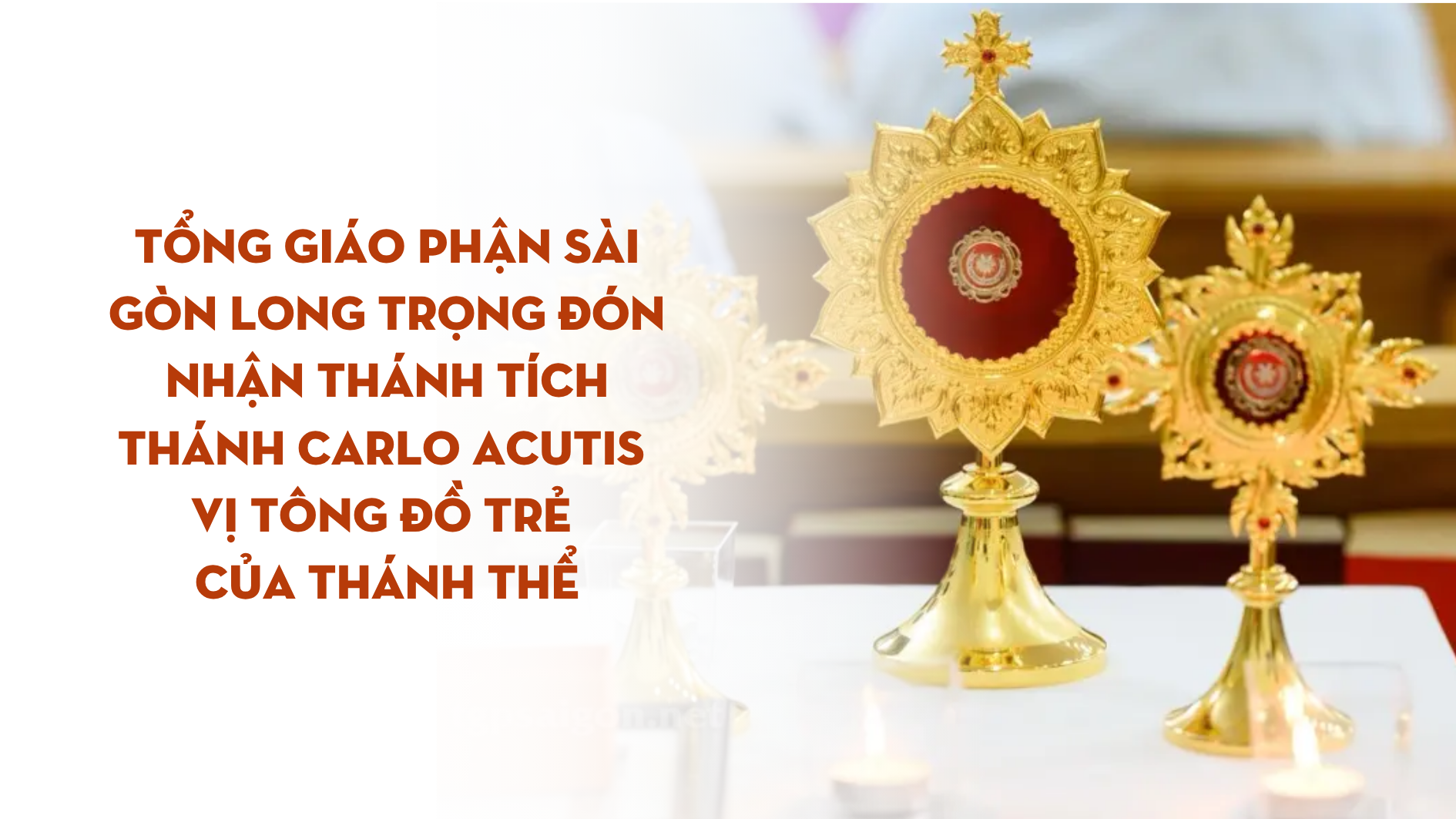 Tổng Giáo phận Sài Gòn long trọng đón nhận thánh tích Thánh Carlo Acutis – Vị tông đổ trẻ của Thánh Thể